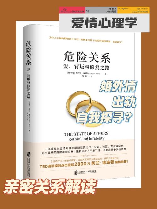 私人调查侦探-危险关系：爱情、背叛与修复之路