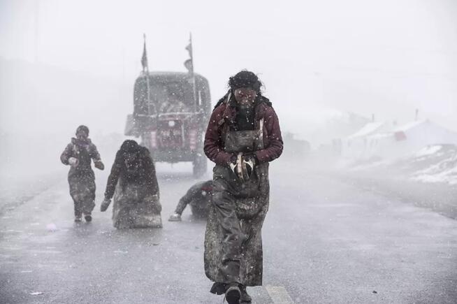 情感机构_情感咨询_情感