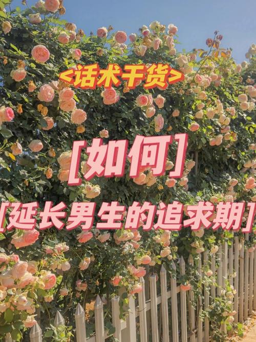 表白情话_如何表白_表白范文