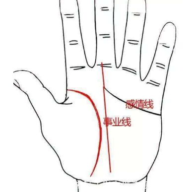 感情线手相_感情线_智慧线和感情线有