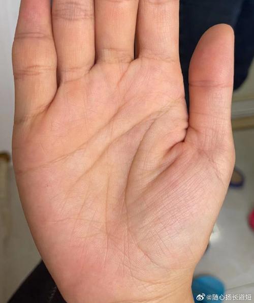 感情线_感情线手相_智慧线和感情线有