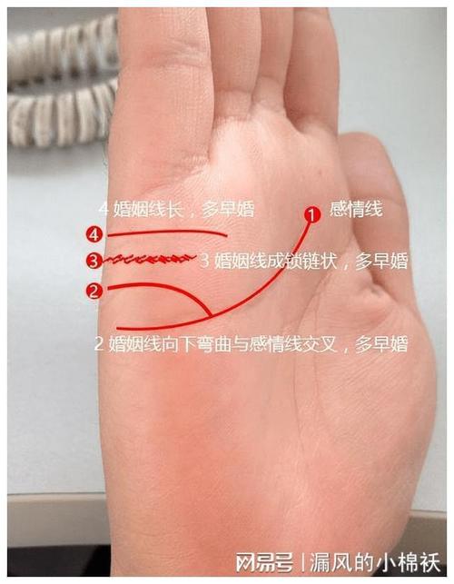 感情线_感情线分叉线连到智慧线_事业线到达感情线段了