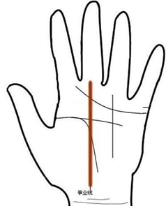 感情线分叉线连到智慧线_智慧线和感情线有连接_感情线