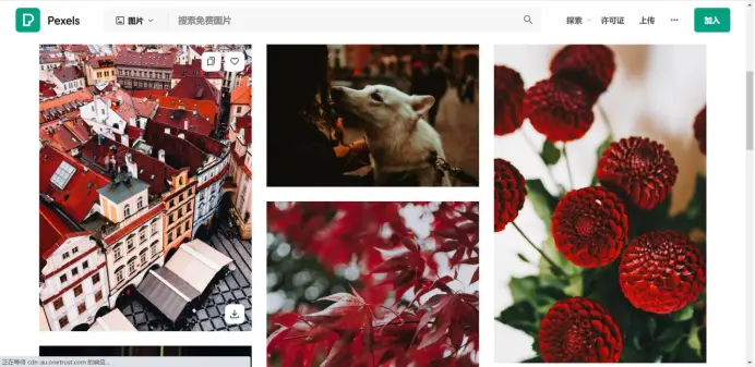 情感网站_情感网站的logo图片_情感网站交流平台