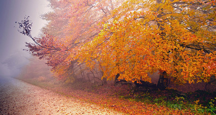 情感电台语录台词有哪些_电台情感夜话_情感电台