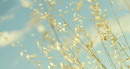 情感电台语录台词有哪些_情感电台_电台情感夜话