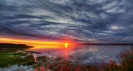 情感电台语录台词有哪些_电台情感夜话_情感电台