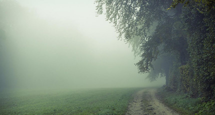 情感电台_电台情感夜话_情感电台语录台词有哪些
