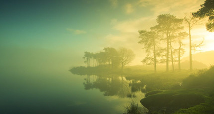 电台情感夜话_情感电台_情感电台语录台词有哪些